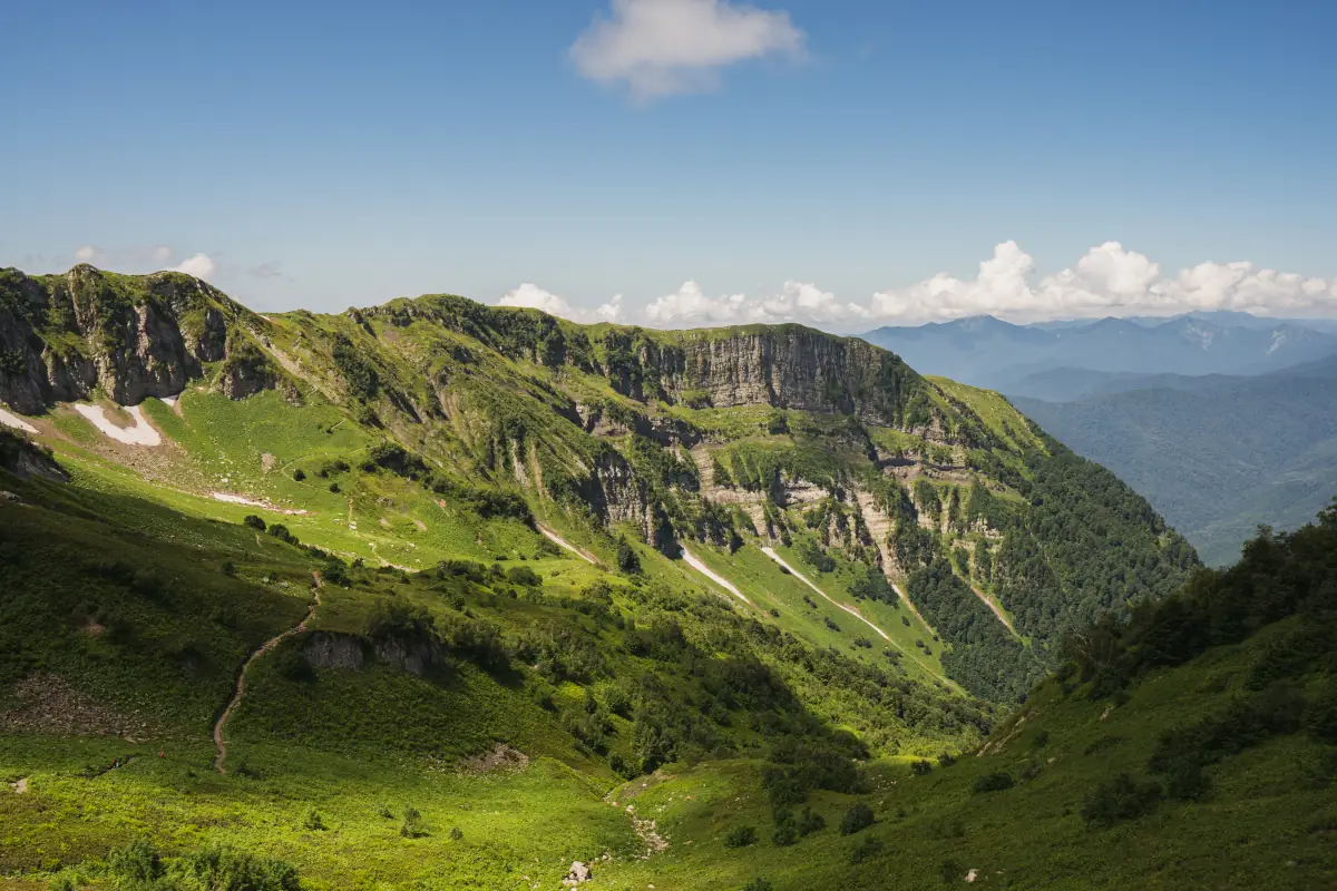 Альпийские луга